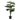 Monstera - Grøn